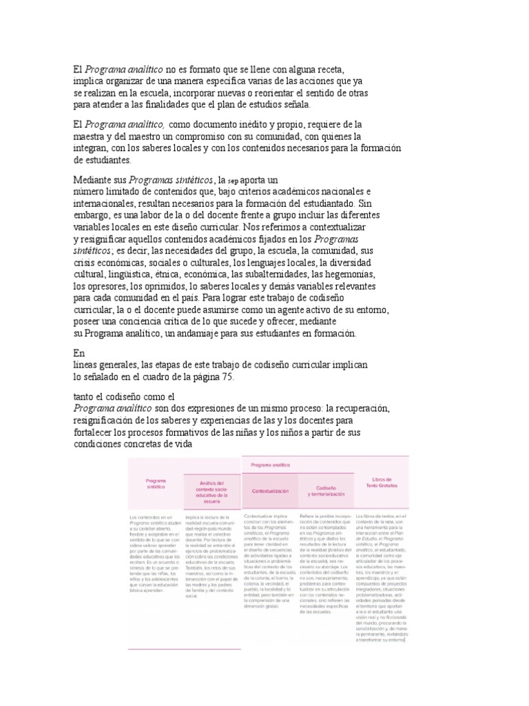 resumen-programa-analitico-pdf