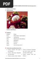Download Isolasi Mangostin Dari Buah Manggis by vcvivace SN66523053 doc pdf