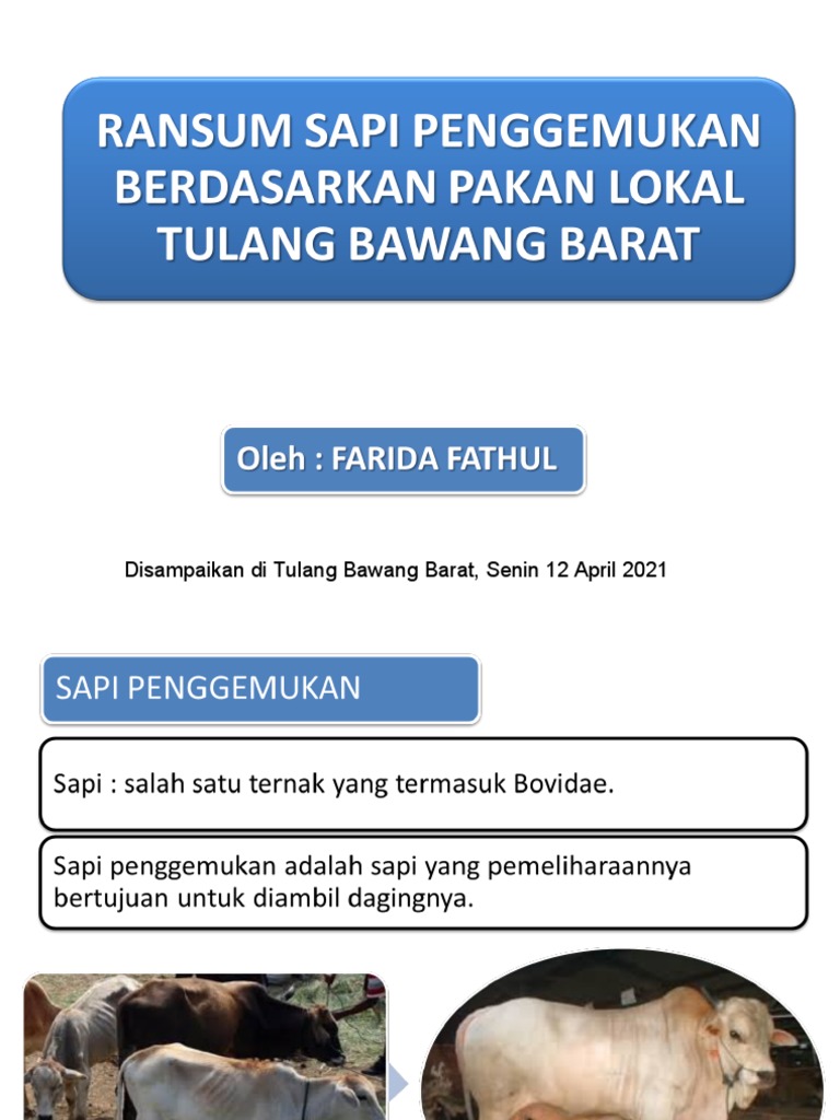 Ransum Sapi Penggemukan Berdasarkan Pakan Lokal Tulang Bawang Barat | PDF