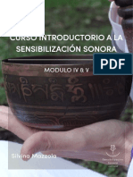 Curso Introductorio a la Sensibilización Sonora- Módulo IV & V