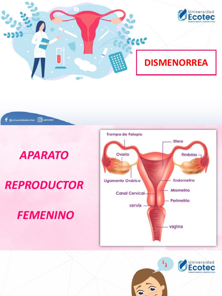 Dismenorrea | PDF