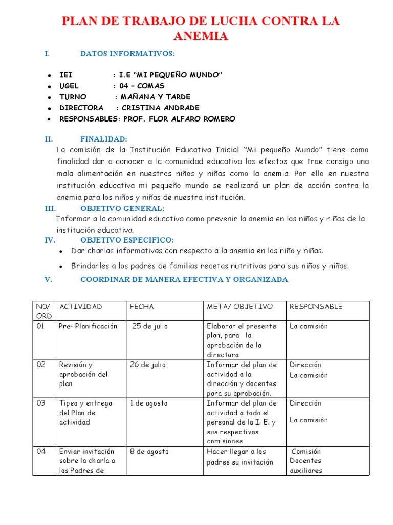 Plan de Trabajo de Lucha Contra La Anemia | PDF | Salón de clases