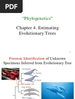 Evidence and Methods for Phylogenetics | PDF | Homology (Biology ...