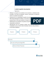 Resumen - Gestión de Proyectos