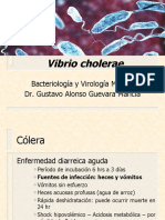 Clase - Vibrio Colera