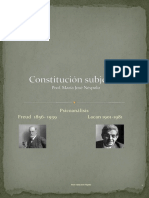 Constitucion Subjetiva - Psicoanalisis