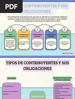 Tipos de Contribuyentes y Sus Obligaciones | PDF | Impuestos | Contabilidad