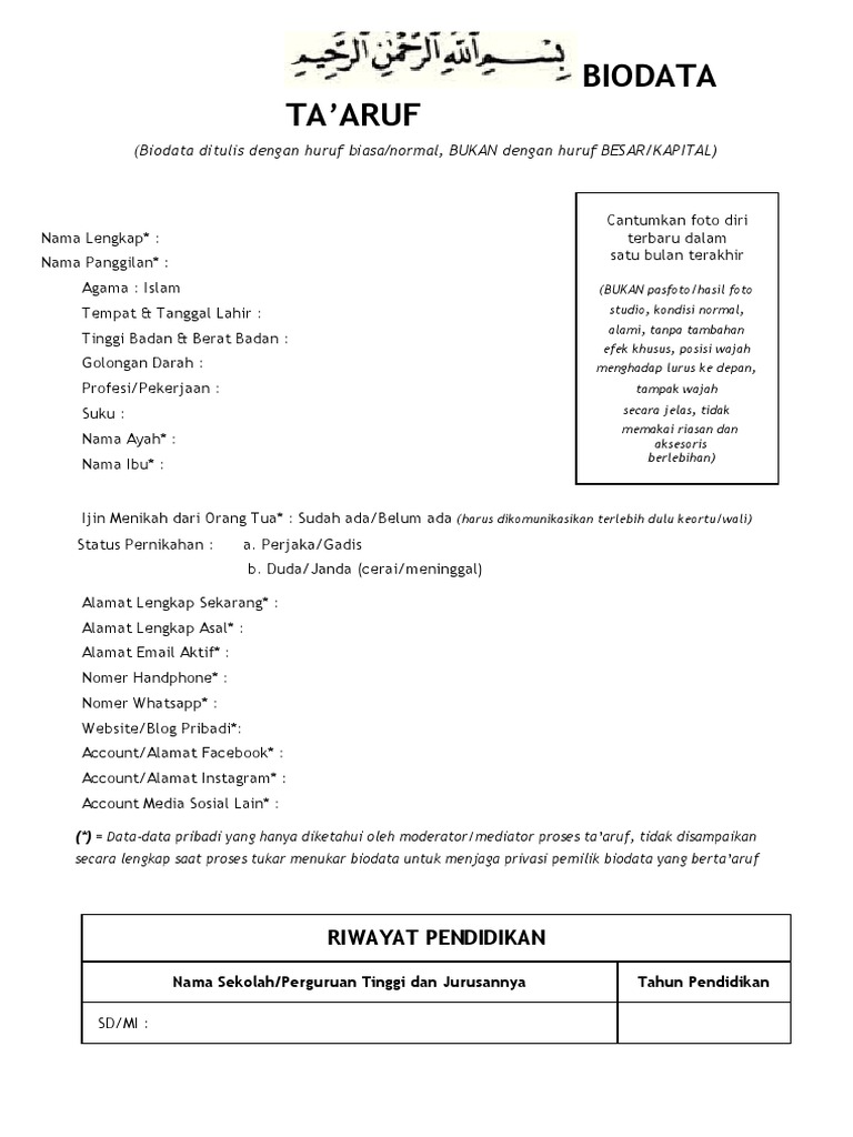 CV Taaruf PDF