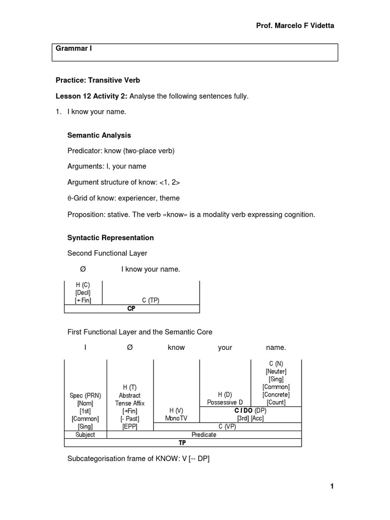 Transitive Verb Analysis Guide | PDF | Verb | Cognitive Science