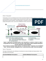 Epithelial Cell - Transcytosis (Bio - Davidson.edu)