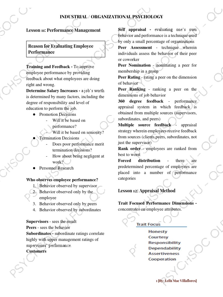 Employee Performance Management Insights | PDF | Career & Growth | Self ...