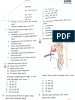 Soal bio