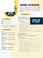 Adeel Hussain CV