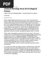 2022-06-02 Andreea Leonte China Is Burning Away Its Ecological Future - Foreign Policy