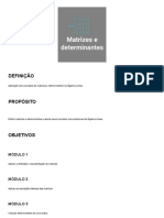 Matrizes Determinantes