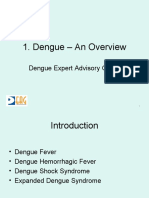Revised Dengue - An Overview