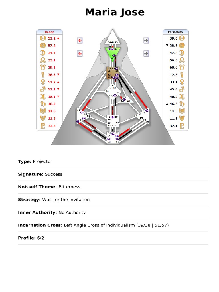 Maria Jose Projector Profile Overview | PDF