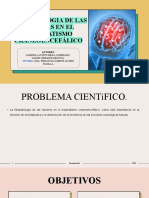 Fisiopatologia de Las Lesiones en El Traumatismo Craneoencefálico. (1) 4