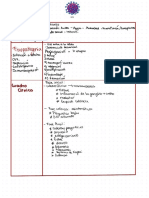 Fisiopatogenia: Etiología