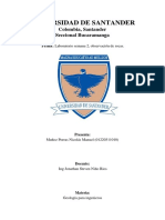 INFORME1GEOLOGIA