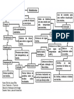 Mapa Conceitual - Histotécnica-1