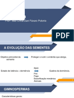 Slides Aula 04