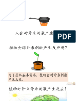 【笔记】4.1 植物对外来刺激作出反应