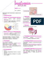 Resumo Anatomia Ii 05 - Estômago Unicavitário