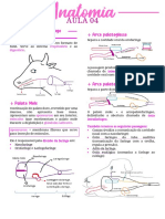 Resumo Anatomia Ii 04 - Faringe e Esôfago