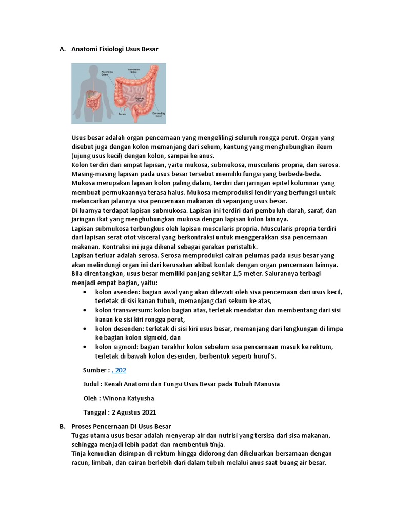 Anatomi Fisiologi Usus Besar PDF
