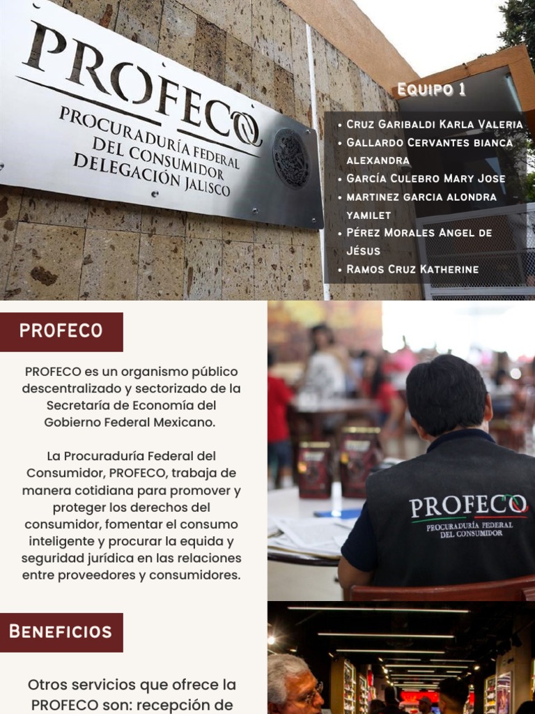 Profe Co | PDF