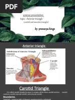 Anatomy of the Norma Basalis | PDF | Human Head And Neck | Human Anatomy