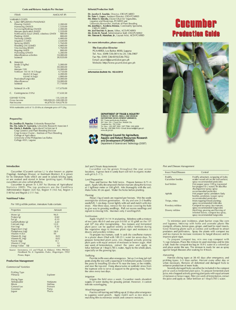 Cucumber Production Guide PDF