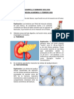 Amanecida Academica 11 Feb 2023