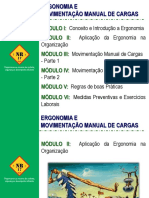 Aplicação Da Ergonomia Na Organização (Slides)