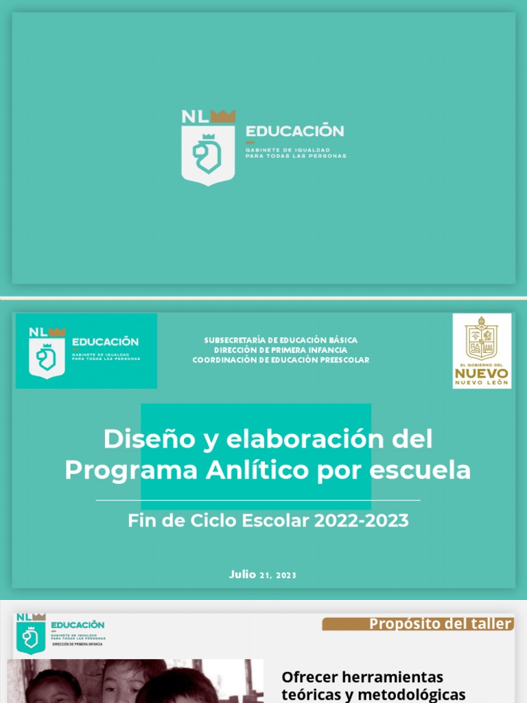 R21 jul programa analitico pdf