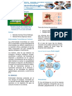 Boletin Epidemiologico - Enfermedad Por Vectores