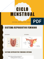 Ciclo Menstrual