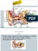 Oido Interno