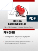 Sistemacardiovascular 171108042231