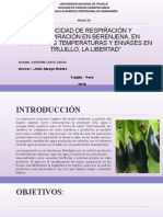 Velocidad de Respiración y Transpiración en Berenjena,