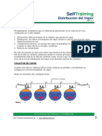 06 DISTRIBUCION DEL VAPOR