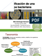 Teórico10 - 2023 - Identificacion1 - Intro y Pruebas Bioq