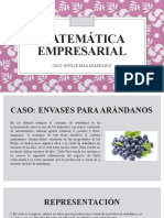 Matemática Empresarial-Trabajo Final