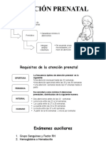 INTERVENCIONES DEL OBSTETRA EN LA ESTRATEGIA SALUD SEXUAL Y REPRODUCTIVA (1)