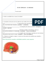 modelo 5 ciencias