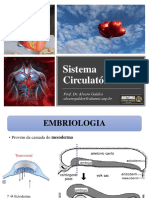 Aula - Sistema Circulatório I - 2023 - 230816 - 155850