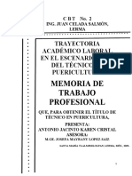 Trayectoria Academico Laboral en El Escenario Real Del Tecnico en Puericultura.2005