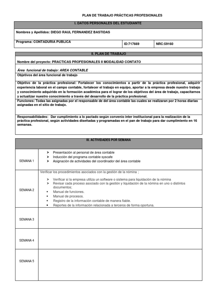 Plan de Trabajo para Prácticas Contables | PDF | Crecimiento personal y ...
