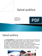 Saludpublica12341 130223090532 Phpapp01